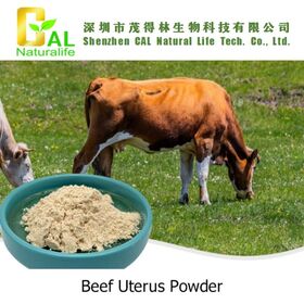 Bubuk Uterus Sapi untuk Suplemen Nutrisi, Aditif Makanan, Bahan Produk Perawatan Kesehatan, Suplemen Nutrisi Manusia
