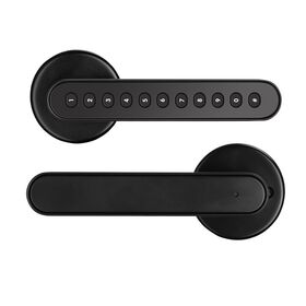 OEM Smart Door Lock Handle with Silicone Buttons and Graffiti Designs APP-Controlled IP65 Waterproof Design Digital Password Lock