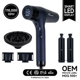 Plasma 110000RPM 2300W Smart Hair Dryer Super Electric High Speed BLDC Hair Blow Dryer Air Wrap Styler Hot Air Curler