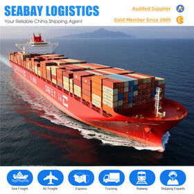 Fast Sea DDP LCL International Logistics Shipping Service Top 10 China to USA Canada Freight Forwarder Shipping Agent