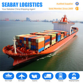 Professional Door to Door Shipment by Seabay LOGISTICS Sea Air Freight Forwarder to Eupore France Ddp Sea Shipping
