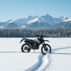 Fábrica de China al por mayor de alta velocidad para adultos 300CC 4 tiempos refrigerado por aire Off-Road Gas motocicleta-diseño personalizado disponible para la venta al por mayor
