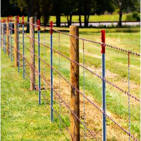 Barbed wire fencing used safety protection.