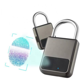 Usine vente En Plein Air Étanche et Anti-Poussière Protection de Sécurité Anti-coupe Intelligente D'empreintes Digitales Pad Serrure Bagages Porte