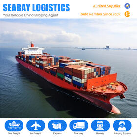 Agent Maritime Professionnel de Chine avec Service d'Expédition vers l'Europe - Transitaire