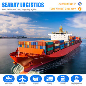 Professional Sea Freight Forwarder De Shenzhen Para EUA Shipping Agent DDP Shipping