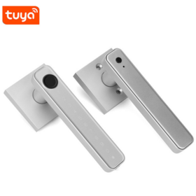 Hot Sell Security Tuya TTLock BLE App Biometric Fingerprint Password Keyless Handle Smart Door Lock for BedRoom