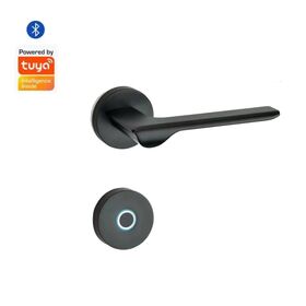 Serrure de porte intelligente d'empreinte digitale extérieure imperméable faite sur commande Tuya APP poignée de serrure de porte de haute qualité poignée de porte d'intérieur de conception simple