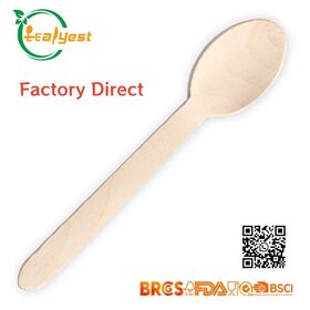 Cucharas Desechables de Madera - Paquete de 100 Cucharas de Madera de 160 mm, Desechables, Biodegradables y Ecológicas