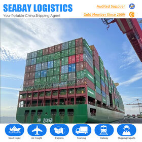 Serviços de Logística de Transporte Marítimo Econômicos China Guangzhou Shenzhen para Bélgica Europa Agente de Embarque