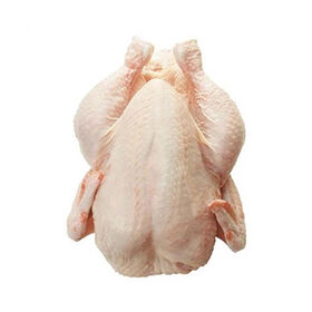 Low price frozen whole chicken available in wholesale packaging for large orders