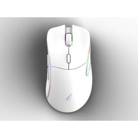 Ultralight Gaming Mouse USB Gaming Mouse RGB Backlit Dual Mode Wireless BT Ergonomic Mouse Computer Mice Rechargeable