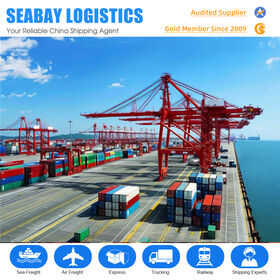 Services de fret maritime rentables de Shenzhen à l'Europe, agent d'expédition, transport de fret, transitaire