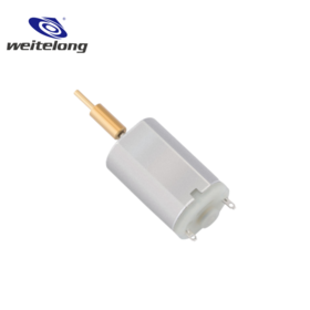 OEM ODM Manufacturer | FF-141PA Brushed DC Motor small engine for Personal Care & Household Appliances