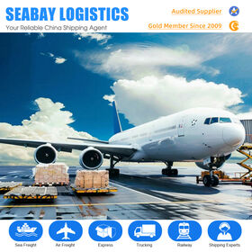 Professional Sea Cargo Forwarder Shipping China Shenzhen To Czech Republic Shipping Agent Freight