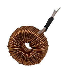 Customized Quality Copper Wires Winding 250uh 500uh 2.3mH 10A 20A Toroidal Inductor FTR Series