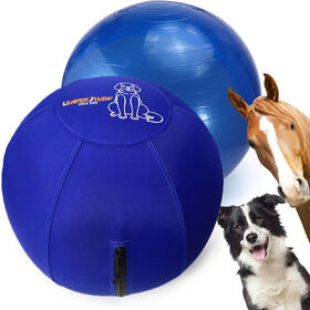 High Quality Horses Stall Pet Herding Ball for Dogs Australian Shepherd Play Dog Toys Dog Toy Balls Interactive Toys
