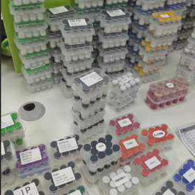 Wholesale Bpc 157 & Tb 500 Products at Factory Prices from Manufacturers in China, India, Korea, etc. | Global Sources Wholesale Bpc 157 & Tb 500 Products at Factory Prices from Manufacturers in China, India, Korea, etc. | Global Sources