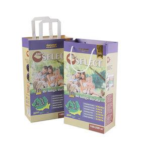 Recycler Personnalisé Coloré Couleur Ondulé Emballage Mailer Sac En Papier