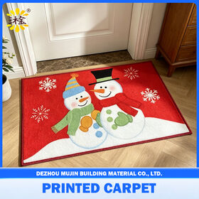 Printed the Kitchen Non-slip Rugs Carpets Living Room Floor Carpet