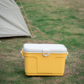 Factory Direct 13L Cooler Box Insulated Ice Chest For Camping Parties & Outdoor Events