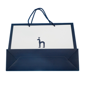 حقيبة تسوق ورقية فاخرة مطبوعة مخصصة بمقبض حبل لتغليف التجزئة