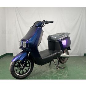 Long terme électrique de batterie au plomb de vitesse rapide du scooter 55 km/h de double roue de puissance élevée pour le voyage adulte