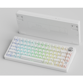 Teclado Mecánico Inalámbrico para Gaming Togran Tri-Mode con Retroiluminación RGB, Fabricación OEM/ODM, Teclas PBT, Switches HIFI, Switches Intercambiables en Caliente