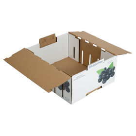 Caja de fruta de cartón impermeable blanco con mango por encargo y estampado