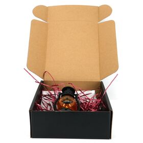 Caja corrugada de impresión de alta calidad fuerte personalizada con tapa para uso de embalaje