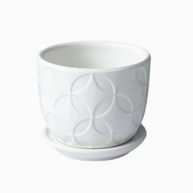 White Ceramic Succulent Pot Minimalist Desktop Planter With Drainage Tray