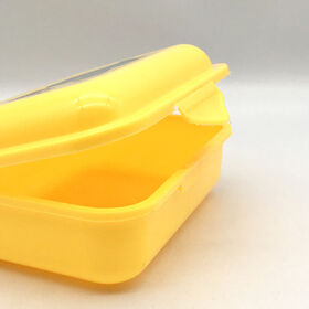 Kleine BPA-freie PP-Bento-Box aus Kunststoff für Werbegeschenke