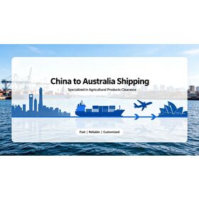 Professionelle Logistik von China nach Australien, Ihre vertrauenswürdige Wahl