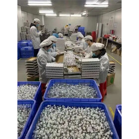 سعر المصنع، مسحوق ببتيد مجفف بالتجميد نقي 99% في قوارير، صندوق محمول واقٍ لقوارير الزيوت العطرية والمختبرات