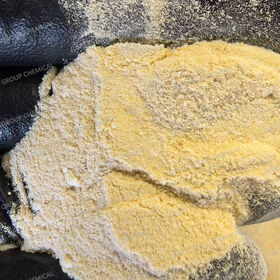Fertilizante soluble en agua WS/polvo soluble en agua recién llegado del polvo del fertilizante del CaMg de los altos aminoácidos