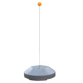 Raquette de Tennis de Table d'Entraînement Solo avec Tige Élastique Flexible - Aide à l'Entraînement de la Vision pour le Développement des Jeunes