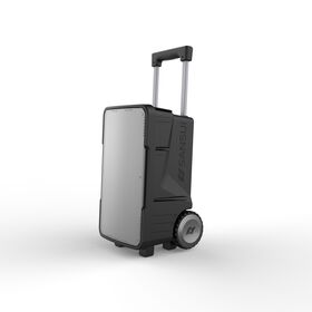 Party speaker trolley speaker Vibration speakers hot sales