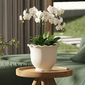Beige Scalloped Ceramic Pot European Minimalist Desktop Floor Decorative Sturdy