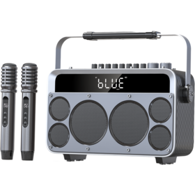 Jugadores de karaoke portátiles con los micrófonos 2 pcs