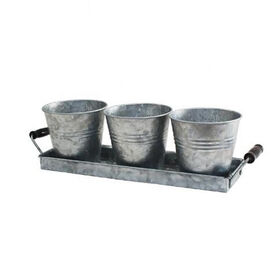 Galvanized Metal Indoor Herb Pots with Tray, Rust-Resistant Planters