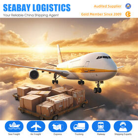 Forwarder Logistik Udara Profesional dari China ke Seluruh Dunia, Agen Pengiriman Laut, Kargo Ekspres