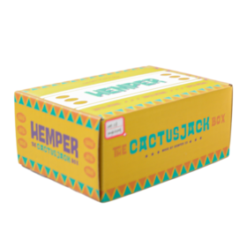 Personalizado Reciclável Corrugado Mailer Box Eco Friendly Kraft Shipping Box Logotipo Impresso E-commerce Assinatura Embalagem Caixa