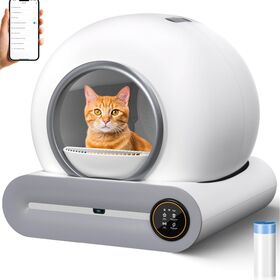 Produtos populares Banheiro Elétrico Gato Auto-Limpeza Inteligente Elétrica Automática Caixa De Lixo De Gato Com APP