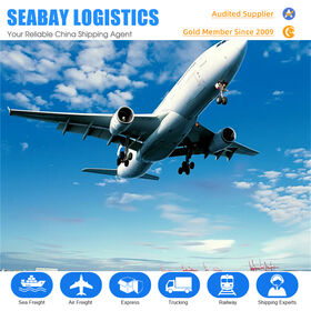 Reliable Air Freight Solutions Shenzhen To Czech Republic Sea Shipping Agent FBA Door to Door