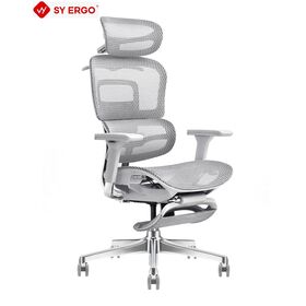 Suporte lombar avançado Mesh cadeira executiva Home Office certificado com alta volta Design para apartamento Living