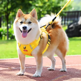 Conjunto de Transportador de Cão Reversível com Arnês Ajustável de Nylon para Animais de Estimação - Arnês Tático de Design de Luxo Personalizado