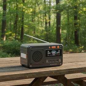 Hors réseau lifepo4 électrique de sauvegarde fm radio extérieure maison portable banque d'alimentation 100w usb c solaire dc power station pour le camping