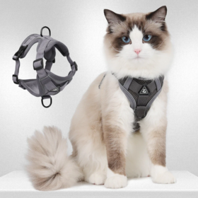 High Quality Breathable Durable Soft Custom Logo Eco-friendly New Private Label Cat Adjustable Pet Dog Harness Leash Collar Set