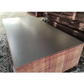 Film Faced Plywood for Construction
