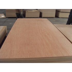 Beech Plywood / Commercial Plywood 1220&2440mm